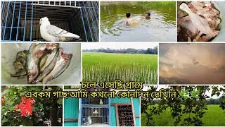 চলে এসেছি গ্রামে!! ❤️❤ এরকম গাছ আমি কখনো কোনদিন দেখিনি!! 🌿🌿