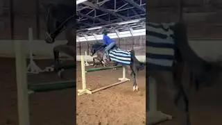 QOTD: do you like grid work? We&rsquo;ve been doing it a lot this winter! #horse #equestrian #horseback