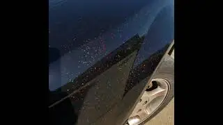 Rainbow Flake paint job on Black mustang