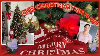 CHRISTMAS SHOPPING|FINALLY OUR CHRISTMAS TREE IS UP!MERRY CHRISTMAS EVERYONE||pinayaussievlog❤️