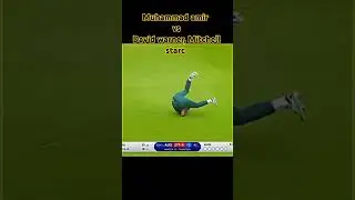 Muhammad amir vs David Warner big fight 🔥🔥🔥#viral #shorts #cricket #cricketlover #cricketshorts #ipl