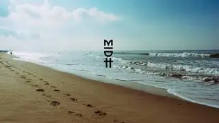 PALMFooD - Chama (MIDH Premiere)