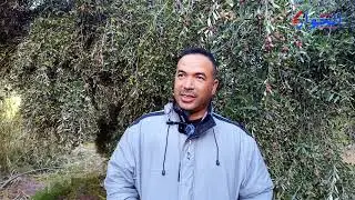 #مواطن_يقصف_مجلس_الويدان