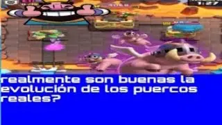 JUGANDO CON LA EVOLUCIÓN DE LOS PUERCOS REALES - Clash Royale