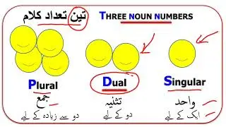 L03 From #Rootword to #word #مادہ اور وزن