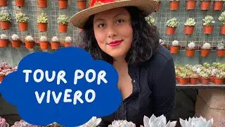 Buscando suculentas Tour por vivero