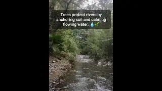 Soil forming factors Soil Biota Part 2