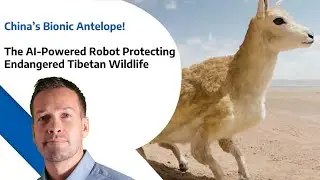China&rsquo;s Bionic Antelope - The AI Powered Robot Protecting Endangered Tibetan Wildlife