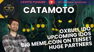 CATAMOTO: OXBULL IDO, ПРЕДСТОЯЩИЕ IDOS, БОЛЬШАЯ МЕМ-МОНЕТА НА TENSET, КРУПНЫЕ ПАРТНЕРЫ