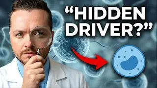 Parasites Causing Cancer? The Truth Between the Extremes