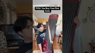 POV: Вы покупаете свой первый Koto