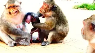 Mama Mekala Rushes In to Take Baby Bean — Mama Barry Begs Her to Stop