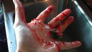 Strawberry Death