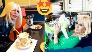 Funny Celebrity Pets 🐶 Part 12: Donatella Versace's favorite dog