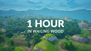 Fortnite OG &mdash; Wailing Woods Ambience (1 Hour) | Relax &bull; Study &bull; Sleep [HQ Seamless Loop]
