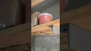 Этап 1 по превращению гаража блок-комнаты в уютную мужичковую нору. Обеспылевание поверхности.