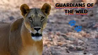 🐘 Guardians of The Wild: | Elephant Rescue | Wildlife Documentary 🌱🦒
