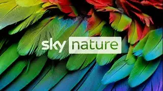 Secret World of Sound with David Attenborough S01E01