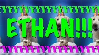 HAPPY BIRTHDAY ETHAN! - EPIC Happy Birthday Song