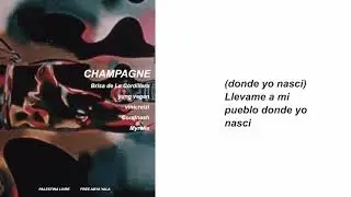 Brisa Flow feat  Yung Vegan -  Champagne Lyric