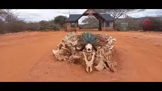 INSIDE LUMO COMMUNITY WILDLIFE CONSERVANCY.