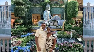 Bellagio Gardens & Fountains Exclusive Tour | Members-Only Las Vegas Experience