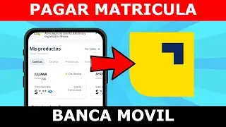 Como PAGAR la MATRICULA VEHICULAR en BANCA MOVIL PICHINCHA ✅