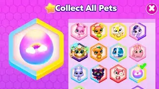 OMG finally completed tutoflips pet doll house 141 level 