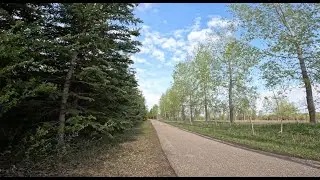 Cochrane Triathlon Club at Woody's RV marathon