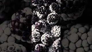 berry tea set (intermezzo collection)