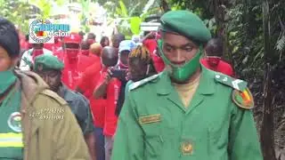 PARC NATIONAL DE LA MEFOU, SANCTUAIRE DE GORILLES PRÈS DE YAOUNDÉ-CAMEROUN