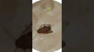 вы не понимаете как это жалко😭😭😭😭