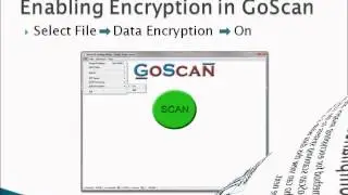 Scan Encrypted Images With Goscan