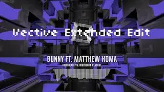 Iron Heart vs. Written In Reverse [Vective Extended Mix] / BUNNY ft. Matthew Koma