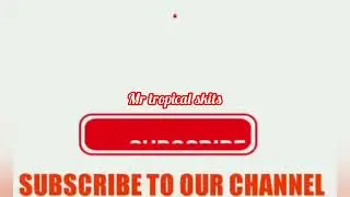 Mr tropical skits subscribe#comedy drama #zim