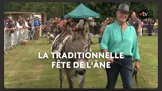 Créhen : la traditionnelle fête de l'âne