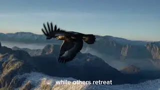 The eagle is not born to comfort but to challeng #Overcoming #adversity,  #determination, 