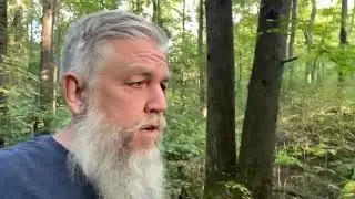 EASY & ACCESSIBLE! ♿ Sugarlands Valley Nature Trail - Great Smoky Mountains National Park