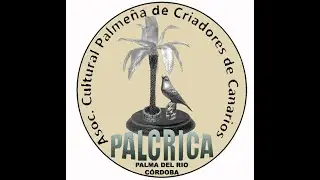 XX Concurso 2025 PALCRICA - Canario Cantor Español