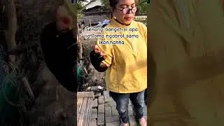 happy banget#mancing #ladyangler #fishing #mancingmania @omadestafishing #salamsatuhobi #fyp