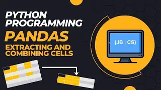 Python Programming (Extracting Rows and Columns )