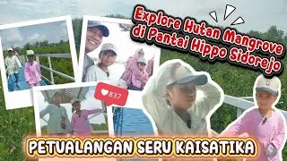 PETUALANGAN SERU DI HUTAN MANGROVE PANTAI HIPPO | KAISATIKA EXPLORE ALAM