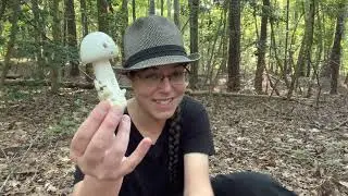 Mutable mushrooms: Big destroying angels, tiny Caesar mushrooms, and multi-colored edible boletes