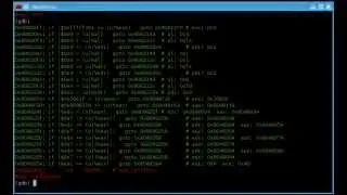 Dynamic tracing & decompilation plugin for gdb
