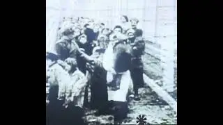 Stolen Gold Teeth and Rings #holocaust #nazigold #hitler #freemantleinternational