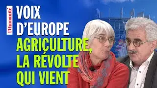 Ce modèle agricole aberrant que l'Europe a décidé de soutenir