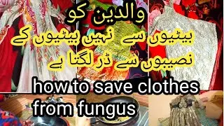 |how to save cloth from fungus| والدین کو بیٹیوں سے نہیں بیٹیوں کے نصیبوں سے ڈر لگتا ہے |kichen