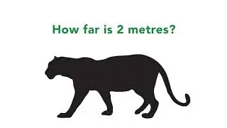 Physical Distancing - Cougar