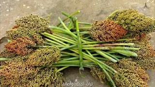 من أصالة الماضي #٣