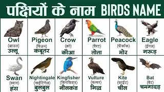 Learn Birds Name / Kids learning video/smart kids
